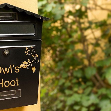 Owl'S Hoot Villa Thorndon Bagian luar foto