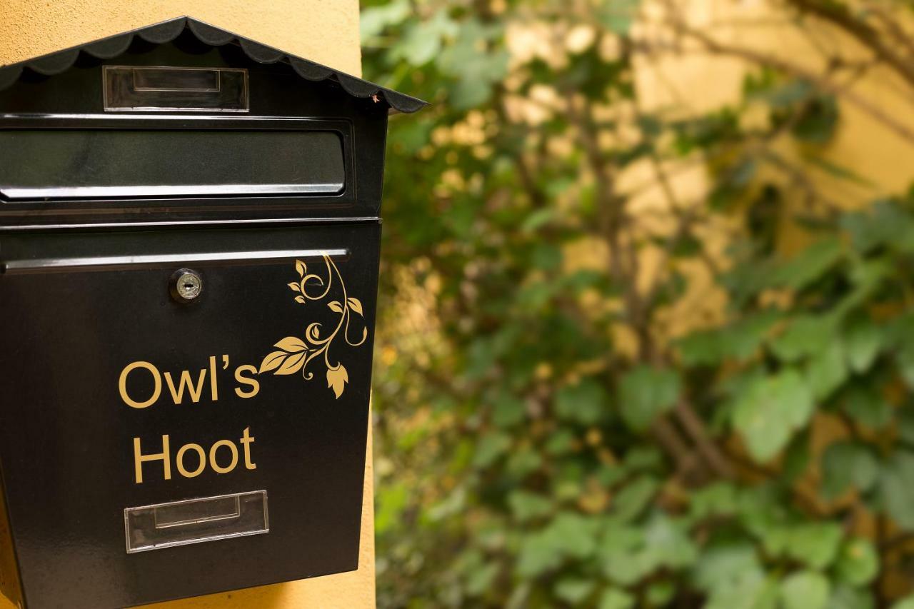 Owl'S Hoot Villa Thorndon Bagian luar foto